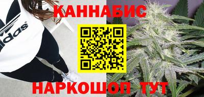 наркотики Новозыбков